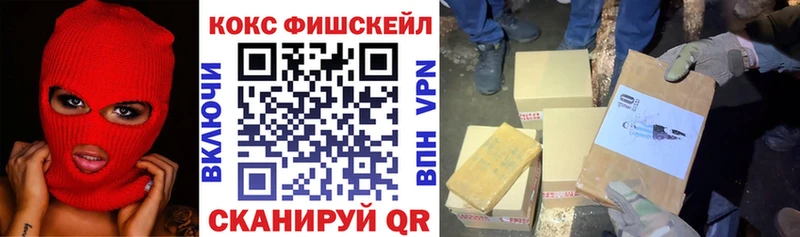 купить   Арзамас  Cocaine Эквадор 