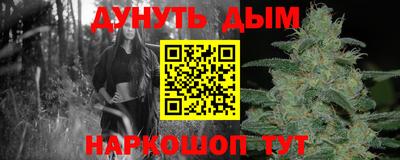 МДПВ Новокубанск