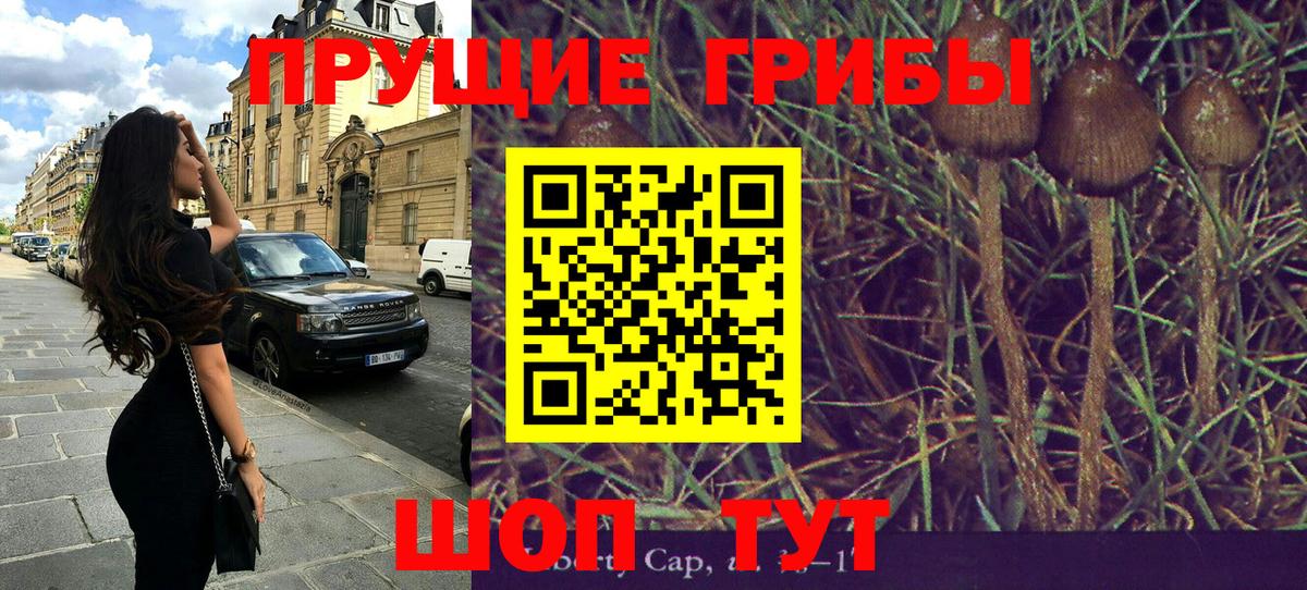 Галлюциногенные грибы Psilocybine cubensis Арзамас