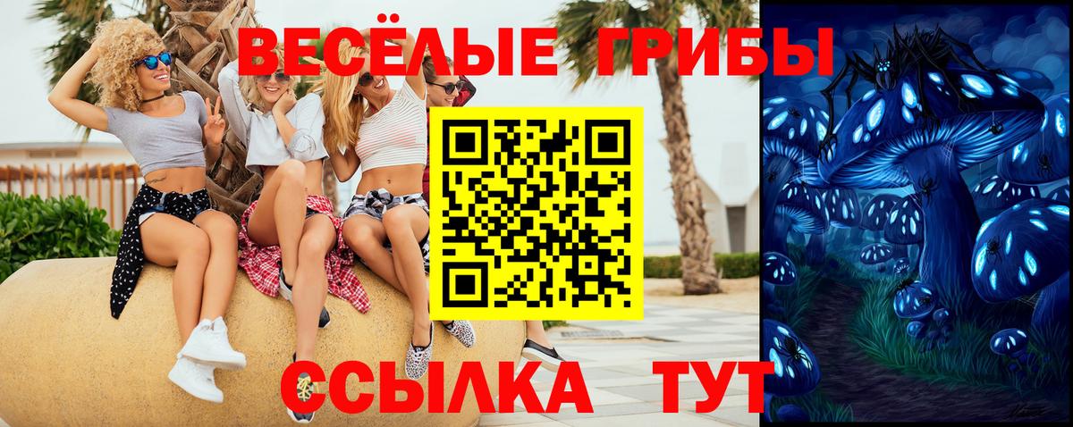 Арзамас  Галлюциногенные грибы мицелий  Вход с VPN 